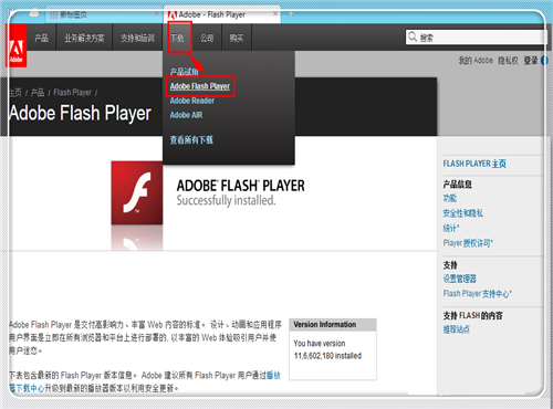 Adobe Flash Player(ý岥) V23.0.0.162