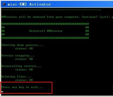 mini-KMS Activator(Office2010) V1.2 ɫ