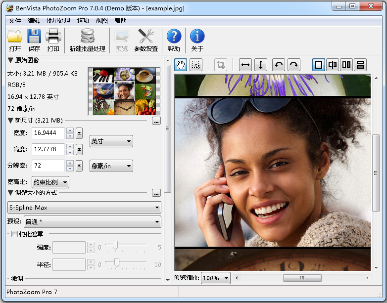 PhotoZoom Pro(ͼƬŴ) V7.0.4 İ