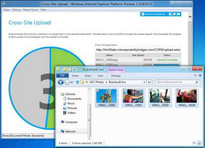 Internet Explorer 10IE10