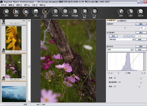 Digital Photo Professional(רҵƬ) V3.9.0.1 İ