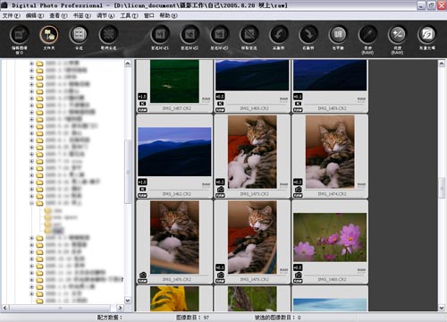 Digital Photo Professional(רҵƬ) V3.9.0.1 İ