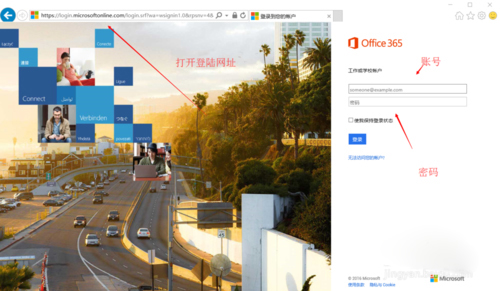 Office 365(΢ư칫)