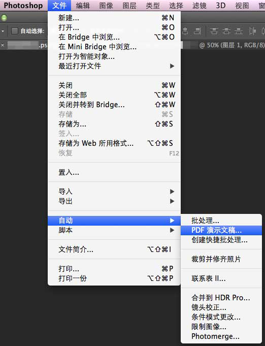 Adobe PhotoShop CS3 V10.0 İ