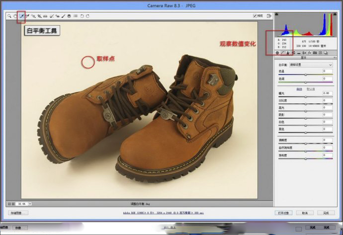 Adobe Camera Raw(RAWļ༭) V9.10 Ӣİ