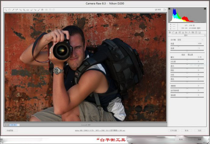 Adobe Camera Raw(RAWļ༭) V9.10 Ӣİ