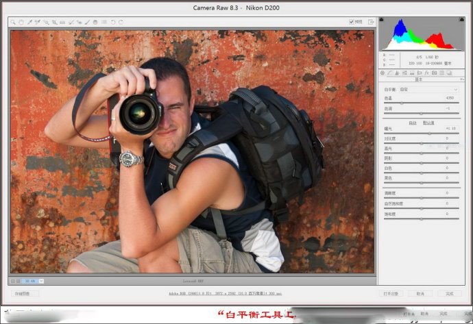 Adobe Camera Raw(RAWļ༭) V9.10 Ӣİ