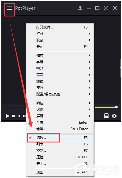 PotPlayer(ý岥) V55288 Beta
