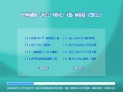 999宝藏网 GHOST WIN8.1 X64 专业版 V2015.01
