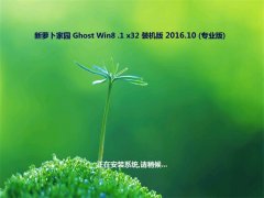 ܲ԰Ghost Win8.1 (X32) ͥװ2016V10(輤)