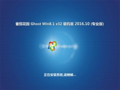 ѻ԰Ghost Win8.1 x32 װv201610(Լ)