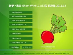 ܲ԰Ghost Win8.1 X32λ 2016v12(Լ)