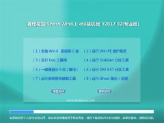 ѻ԰Ghost Win8.1 X64 װv2017.02(Լ)