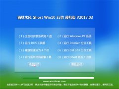 ľGhost Win10 (X32) װ2017.03()