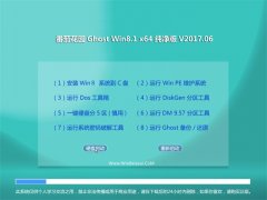 ѻ԰Ghost Win8.1 (X64) ȫv2017.06(⼤)