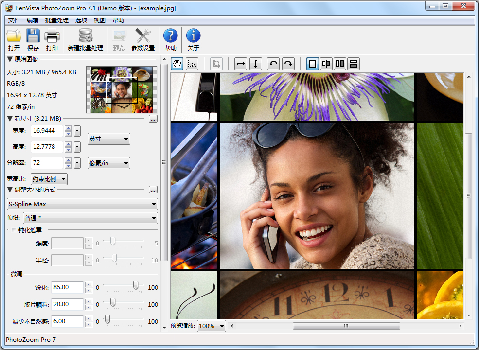 PhotoZoom Pro(ͼƬŴ) V7.1.0 İ