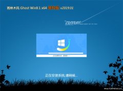ľGhost Win8.1 X64 ȶװV2019.01()