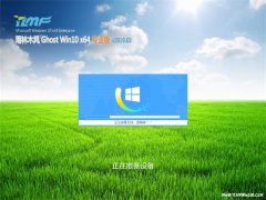 ľGhost Win10 X64λ רҵ V2019.03(⼤)