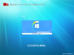 ѻ԰Ghost Win8.1x86 V201903(Լ)