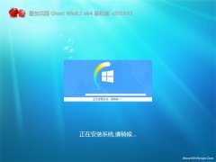 ѻ԰Ghost Win8.1 x64 ѡװ2019.03(ü)