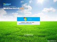 ľGhost Win10x86 רҵ V2019.04(Լ)