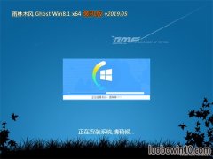 ľGhost Win8.1 (X64) װ2019v05()