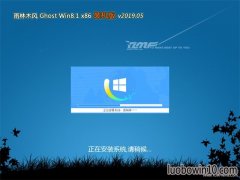 ľGhost Win8.1x86 ȶװ2019v05(ü)