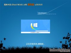 ľGhost Win8.1x86 ȶװ2019v05(ü)