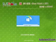 ܲ԰Ghost Win8.1x86 V201905(Լ)