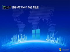 ľ64λwin8.1رv2025.05