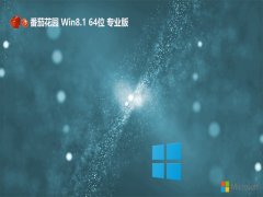 ѻ԰win8.1ʦƷ64λv2024.04