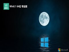 ʿ⼤win8.1 64λרðv2025.05