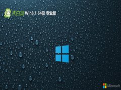 ײ⼤win8.1 64λƳٰv2025.05
