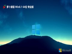 ܲ԰win8.164λv2024.05⼤