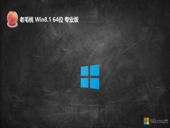 ë64λwin8.1ȥ漫v2024.05