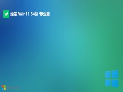 ̲ϵͳwin11 64λƼv2025.05