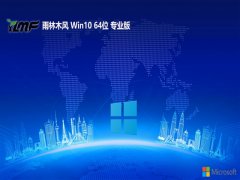ľ⼤win10 64λʼǱv2025.05