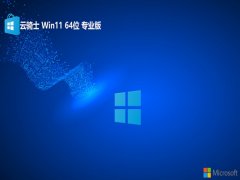 ʿwin11 64λ޲v2025.05
