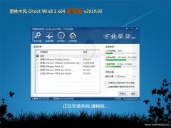 ľGhost Win8.1 (64λ) װV201906(輤)