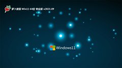 ܲ԰Win11 64λ װ 2021.09